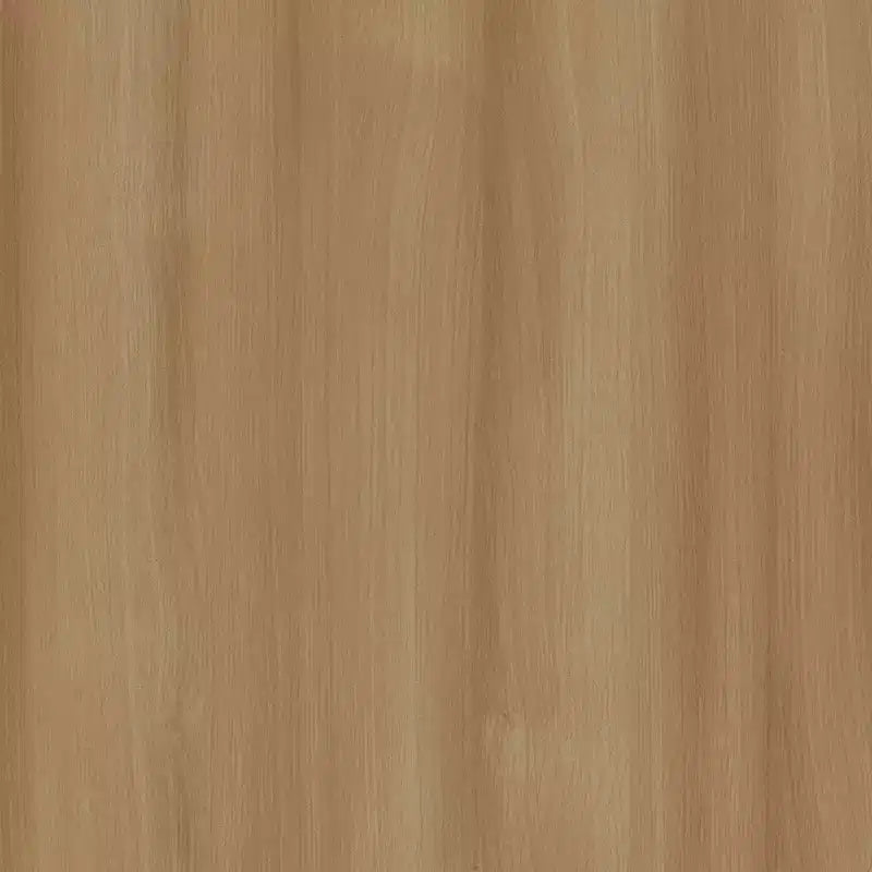 Sedie da pranzo imbottite in legno, set da 2 – Nero / Marrone / Grigio / Naturale / Bianco